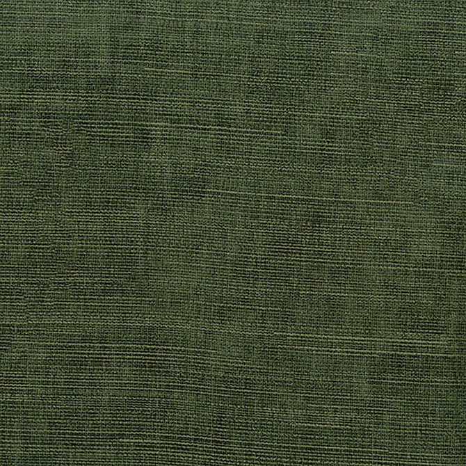 Chrysalis 27 Pine by ABBEYSHEA Fabric 100% Polyester China 100,000 Double Rubs (Wyzenbeek) </p><p>Repeat: Horizontal: and Vertical: 56" (142 cm) - Fabric Carolina -