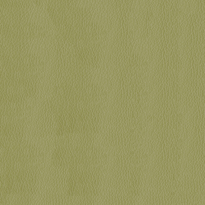 Kendrick 21 Meadow by ABBEYSHEA Fabric 100% Polyurethane (PU) China 500,000 Double Rubs (Wyzenbeek) </p><p>Repeat: Horizontal: and Vertical: 54" (137 cm) - Fabric Carolina -