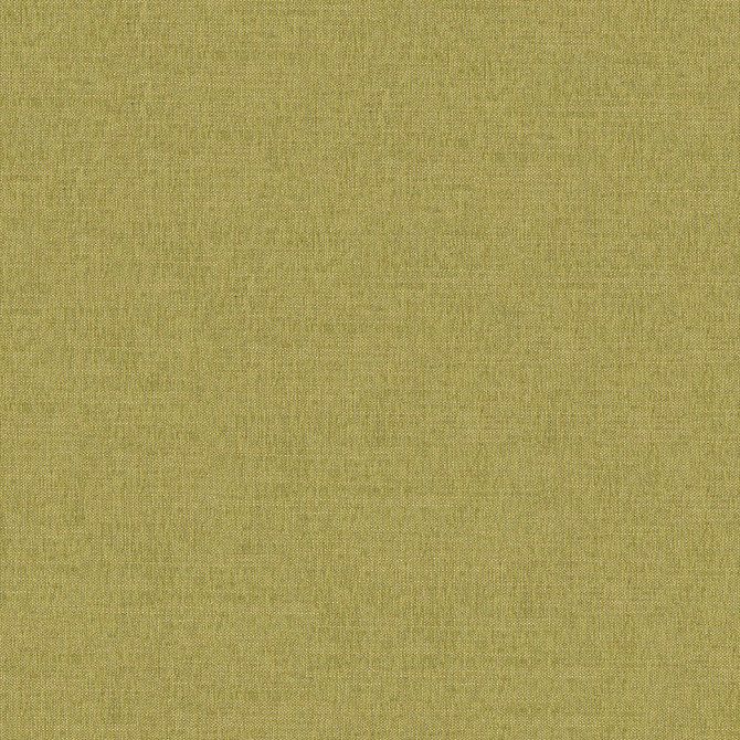 Martine 202 Chartreuse by ABBEYSHEA Fabric 95% Polyester, 5% Linen China 60,000 Double Rubs (Wyzenbeek) </p><p>Repeat: Horizontal: and Vertical: 56" (142 cm) - Fabric Carolina -