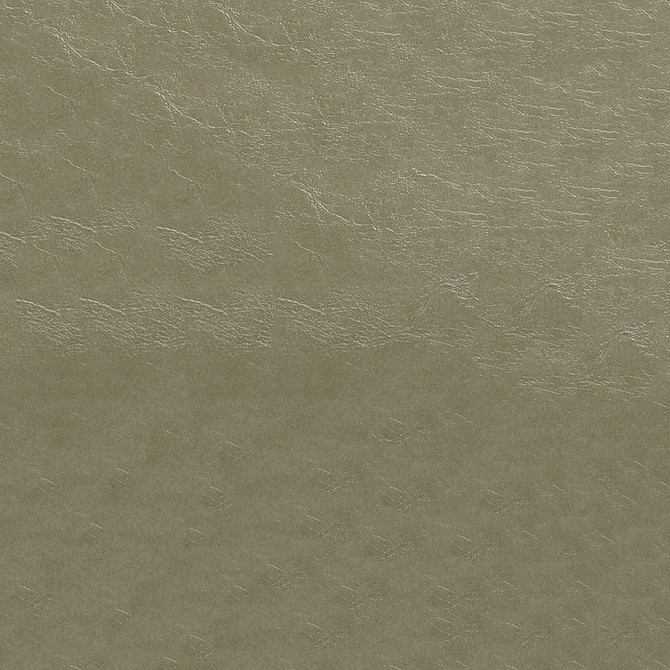Glaze 107 Pumice by ABBEYSHEA Fabric 100% Polyvinyl Chloride (PVC) China 100,000 Double Rubs (Wyzenbeek) </p><p>Repeat: Horizontal: and Vertical: 54" (137 cm) - Fabric Carolina -