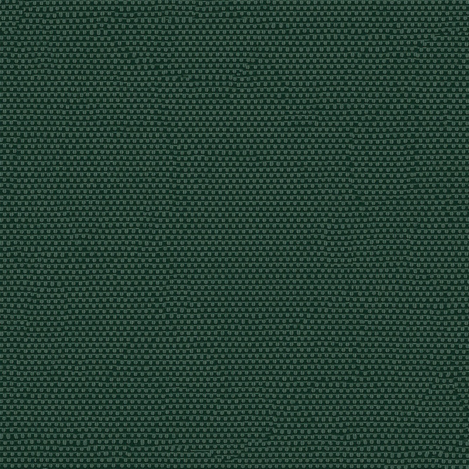 Phifertex Plus 3007154 Holly Green CL1 by Phifertex Fabric 100% Polyvinyl Chloride (PVC) US </p><p>Repeat: Horizontal: and Vertical: 54" (137 cm) - Fabric Carolina -
