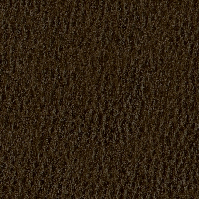 Phoenix 004 Chocolate Chip by ABBEYSHEA Fabric N/A 100% Polyurethane (PU) China 500,000 Double Rubs </p><p>Repeat: Horizontal: and Vertical: 54" (137 cm) - Fabric Carolina -