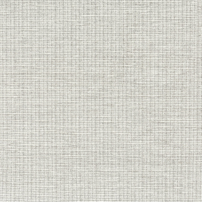 7804-7 Beginnings Windswept by Bassett Mcnab Fabric BASSETT MCNAB ORIGINS 44%COT 38%SVI 18%POL ITALY MARTINDALE WEAR TEST (28 000 CIRCULAR RUBS) Horizontal: 0 and Vertical: 0 55 in - Fabric Carolina -