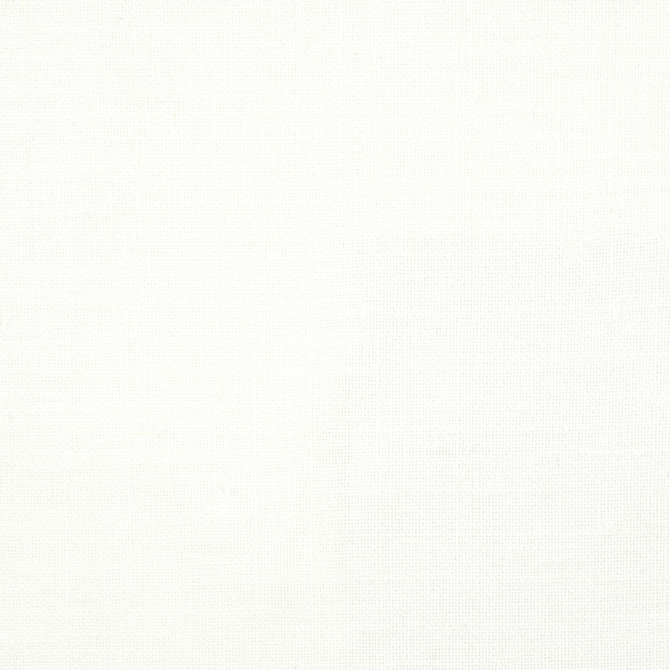 Ample 1 Chalk by Stout Fabric COLOR MY WINDOW NEUTRAL/MICA 75%POL 25%LIN INDIA MARTINDALE WEAR TEST (30 000 CIRCULAR RUBS) Horizontal: 0 and Vertical: 0 55 in - Fabric Carolina -