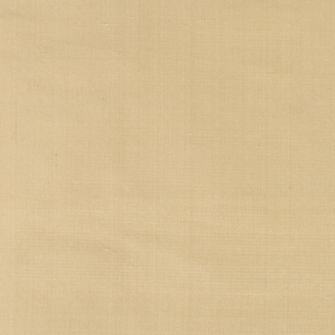 Dupioni 17 Chamois by Stout Fabric DUPIONI SILK 100%SLK INDIA FLAME RETARDANT-U.F.A.C. CLASS 1 CATB 117-2013 (WYZENBEEK 63 000 DOUBLE RUB WEAR TEST (HEAVY DUTY)) Horizontal: 0.000 and Vertical: 0.000 54 in - Fabric Carolina -