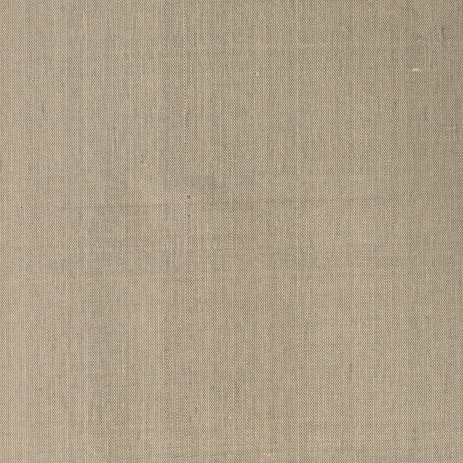 Dupioni 20 Sesame by Stout Fabric DUPIONI SILK 100%SLK INDIA Horizontal: 0.000 and Vertical: 0.000 54 in - Fabric Carolina -