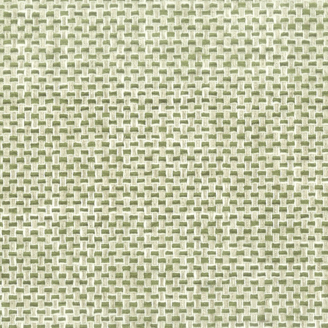 Golf 2 Fern by Stout Fabric COMFORTABLE LIVING ALOE/FERN 36%COT 64%POL INDIA CATB 117-2013 WYZENBEEK 100 000 DOUBLE RUB WEAR TEST (HEAVY DUTY) Horizontal: 2 and Vertical: 0 54 in - Fabric Carolina -