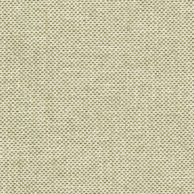 Golf 2 Fern by Stout Fabric Stout Fabric Golf 2 FernFabric COMFORTABLE LIVING ALOE/FERN 36%COT 64%POL INDIA </p><p>Repeat: H: 2.000, V: 0.000 54 in - Fabric Carolina -