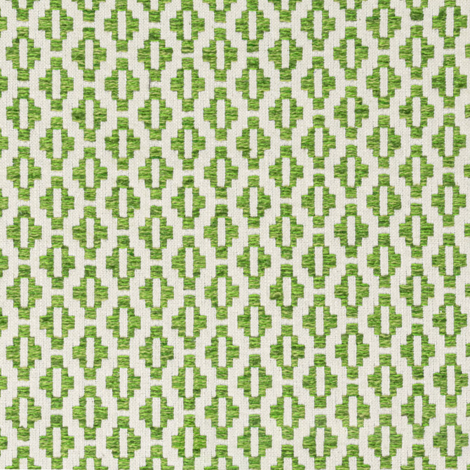 Hatfield 1 Grass by Stout Fabric THE ART OF COLOR HERITAGE 65%POL 35%COT INDIA Horizontal: 0.750 and Vertical: 0.750 54 in - Fabric Carolina -
