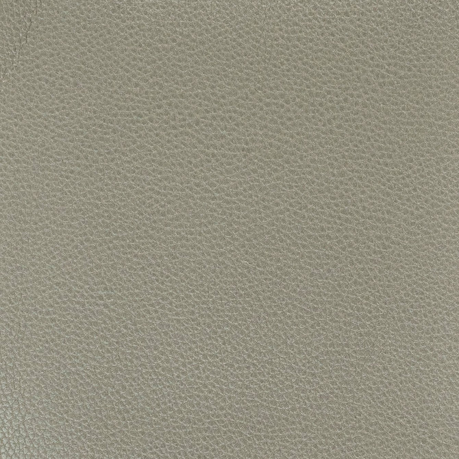 Pitcher 1 Graphite by Stout Fabric LEATHER LOOKS IV 100%POL CHINA PERFORMANCE RATED FABRIC FLAME RETARDANT-U.F.A.C. CLASS 1 FLAME RETARDANT-N.F.P.A. 260A CLASS 1 CATB 117-2013 WYZENBEEK 100 000 DOUBLE RUB WEAR TEST (HEAVY DUTY) Horizontal: 0 and Vertical: 0 54 in - Fabric Carolina -