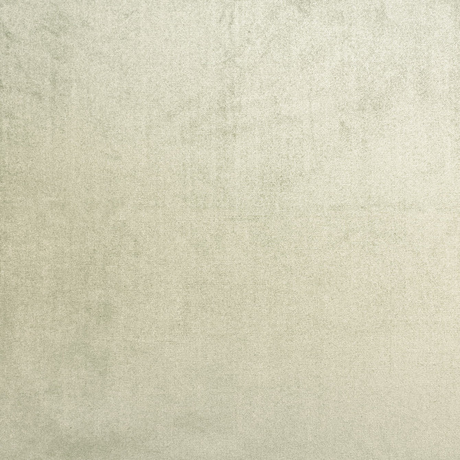 Premier 5 Mocha by Stout Fabric Stout Fabric Premier 5 MochaFabric MARCUS WILLIAM CURIOSITIES TURKEY </p><p>Repeat: H: 0.000, V: 0.000 54 in - Fabric Carolina -