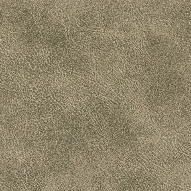Radnor 3 Flint by Stout Fabric Stout Fabric Radnor 3 FlintFabric LEATHER LOOKS IV CHINA </p><p>Repeat: H: 0.000, V: 0.000 54 in - Fabric Carolina -