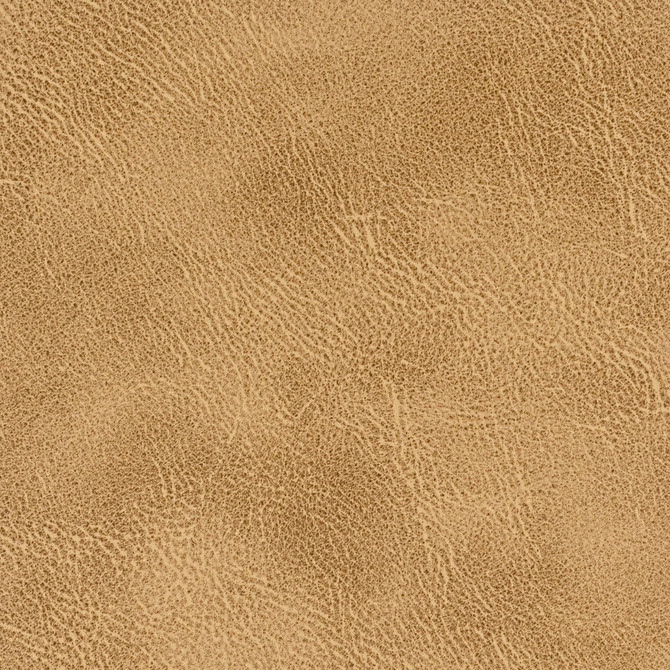 Radnor 4 Acorn by Stout Fabric LEATHER LOOKS IV 100%POL CHINA Horizontal: 0.000 and Vertical: 0.000 54 in - Fabric Carolina -
