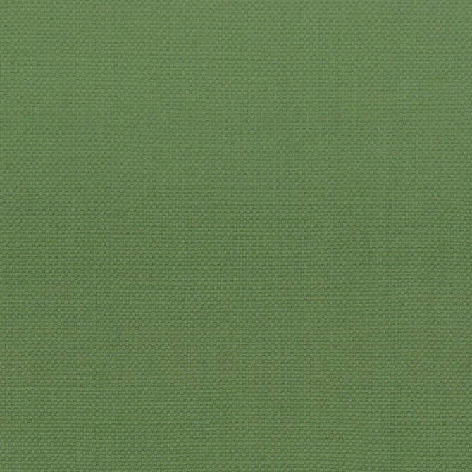 Stanford 27 Grass by Stout Fabric Stout Fabric Stanford 27 GrassFabric A LA MODE INDIA </p><p>Repeat: H: 0.000, V: 0.000 54 in - Fabric Carolina -