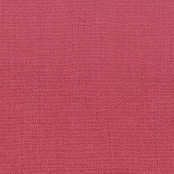 Stanford 35 Blossom by Stout Fabric A LA MODE 100%COT INDIA Horizontal: 0.000 and Vertical: 0.000 54 in - Fabric Carolina -