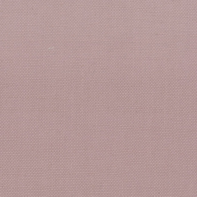 Stanford 47 Heather by Stout Fabric Stout Fabric Stanford 47 HeatherFabric A LA MODE INDIA </p><p>Repeat: H: 0.000, V: 0.000 54 in - Fabric Carolina -