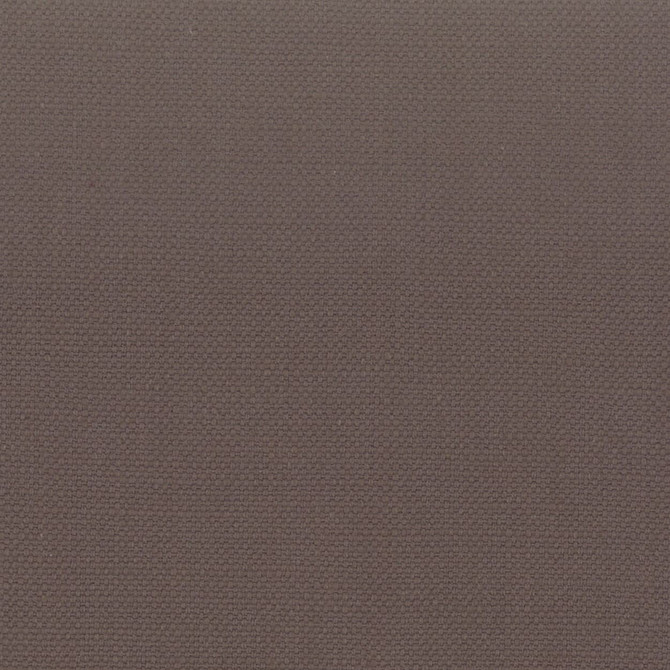 Stanford 48 Cocoa by Stout Fabric Stout Fabric Stanford 48 CocoaFabric A La Mode 100%Cot India </p><p>Repeat: H: 0, V: 18.875 54 in - Fabric Carolina -