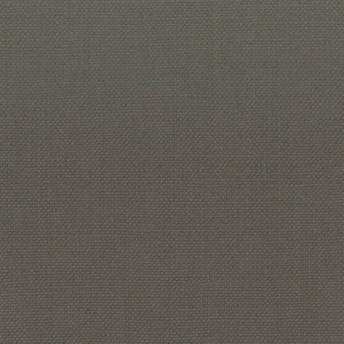 Stanford 53 Shadow by Stout Fabric Stout Fabric Stanford 53 ShadowFabric A LA MODE 100%COT INDIA </p><p>Repeat: H: 0.000, V: 0.000 54 in - Fabric Carolina -