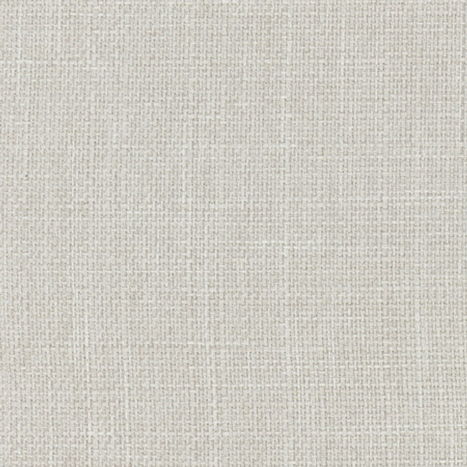 Commencement Dove by Carole Fabric Commencement 100% Polyester-SSWR, Anti-Microbial Taiwan 50,000 Wyzenbeek Double Rubs Horizontal: None and Vertical: None 56" - Fabric Carolina -