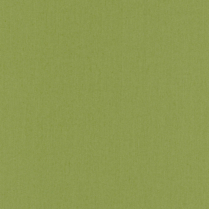 Comfort Grass by Carole Fabric Daydreaming 100% Cotton India Passes 21,000 Double Rubs Wyzenbeek Horizontal: 0 and Vertical: 0 54 - Fabric Carolina -