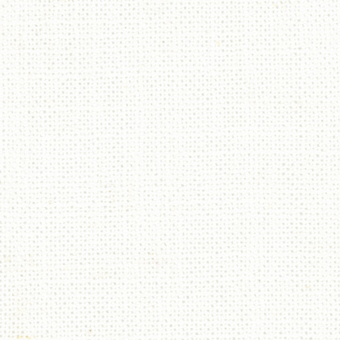 <p>Defense Winter White by Carole Fabric</p><p><strong>Required Minimum Quantity Purchase: 2 yards</strong></p><p>Book: Opal,Sea Salt</p><p>Content: 95% Polyester, 5% Linen</p><p>Origin: </p><p>Performance: Passes 110,000 Double Rubs Wyzenbeek</p><p>Repeat: None</p><p>Width: 57"</p>