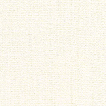 Fall Point Eggshell by Carole Fabric On POint 43% Polyester, 19% Linen, 19% Cotton, 19% Rayon INDIA 100,000 Wyzenbeek Double Rubs Horizontal: None and Vertical: None 54" - Fabric Carolina -