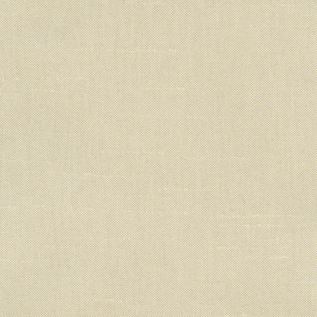 Fleeting Plantain by Carole Fabric Royale 100% Polyester India Passes 50,000 Double Rubs Wyzenbeek </p><p>Repeat: None 54" - Fabric Carolina -