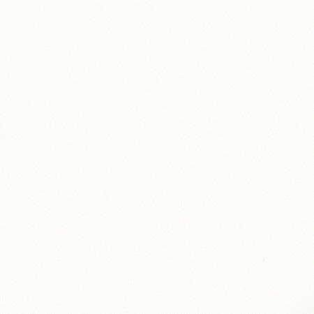 More Time White by Carole Fabric Opal 100% Cotton China N/A Horizontal: None and Vertical: None 555" - Fabric Carolina -