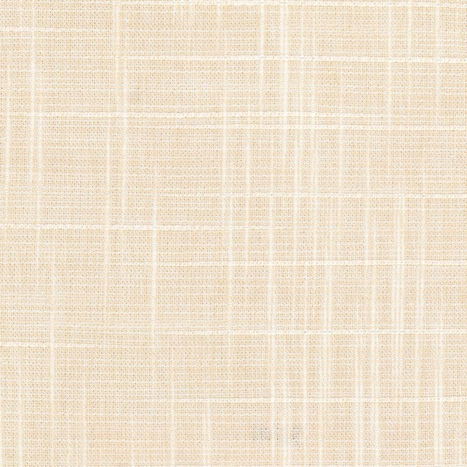 Montoya Parchment by Carole Fabric Sandblasted 88% Polyester, 9% Rayon, 3% Cotton India Passes 30,000 Double Rubs Wyzenbeek Horizontal: 0 and Vertical: 0 55 - Fabric Carolina -