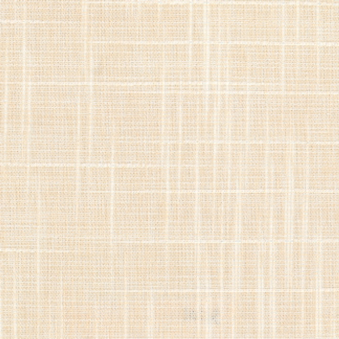 Montoya Parchment by Carole Fabric Sandblasted 88% Polyester, 9% Rayon, 3% Cotton India Passes 30,000 Double Rubs Wyzenbeek None 55"  - Fabric Carolina -