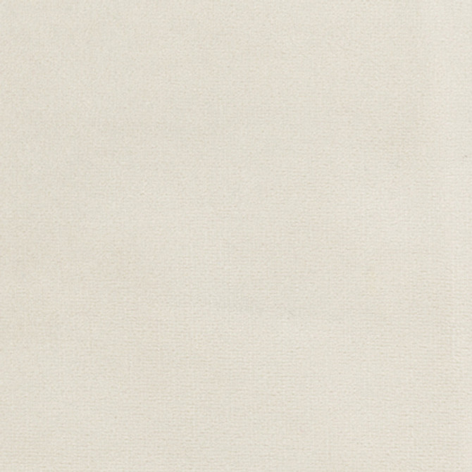<p>Plush Touch Oyster by Carole Fabric</p><p><strong>Required Minimum Quantity Purchase: 2 yards</strong></p><p>Book: Touch Of Luxury,Warm Embrace</p><p>Content: 100% Polyester Knit Backing</p><p>Origin: </p><p>Performance: 235,000 Wyzenbeek Double Rubs</p><p>Repeat: None</p><p>Width: 55"</p>
