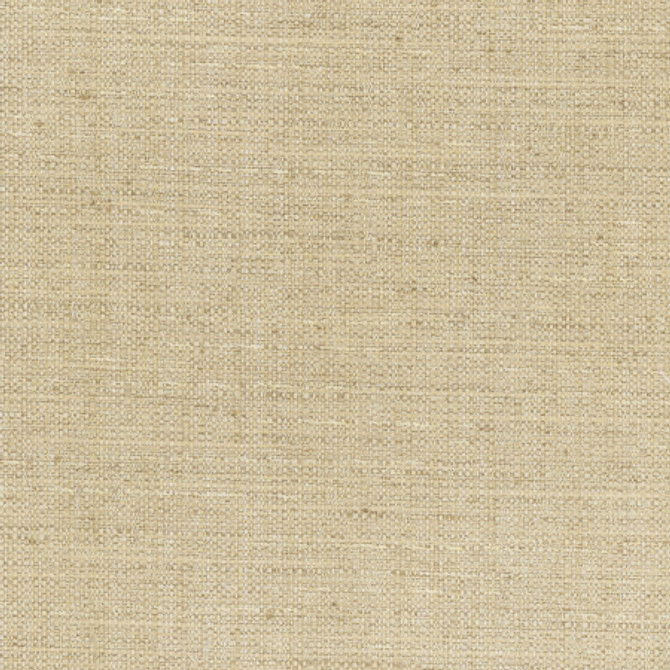 Rock Wall Cashew by Carole Fabric Chestnut 83% Polyester, 12% Cotton, 5% Rayon India  None 55"  - Fabric Carolina -