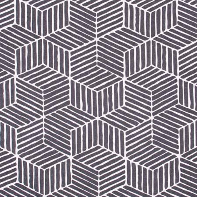 Revolving Door Charcoal by Carole Fabric Modern Edge 100% Polyester India N/A Horizontal: 13 3/4" and Vertical: 19 7/8" V 55" - Fabric Carolina -