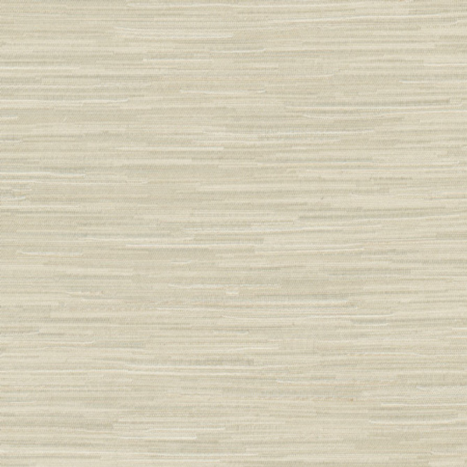 Suntan Raffia by Carole Fabric Excursion 95% Polyester, 5% Cotton India 8,000 Wyzenbeek Double Rubs None 56.5"  - Fabric Carolina -
