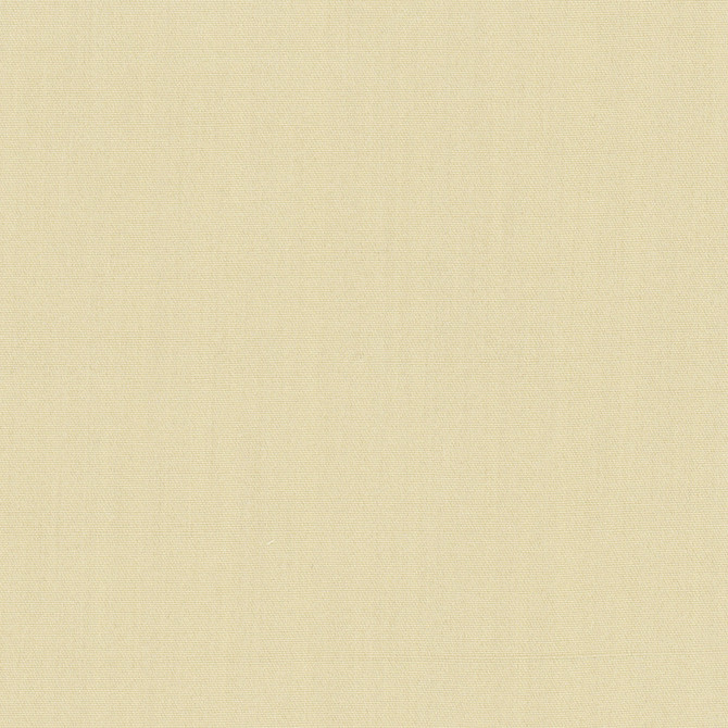Tempt Champagne by Carole Fabric Royale 100% IFR Polyester India Passes 45,000 Double Rubs Wyzenbeek Horizontal: 0 and Vertical: 0 54 - Fabric Carolina -
