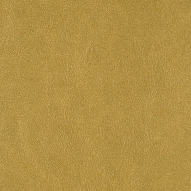 Hawthorne Fenugreek by Nassimi Fabric See sample 95% Polyurethane (Polycarbonate)5% Silicone 250000 Horizontal: Not Applicable and Vertical: Not Applicable 54" - Fabric Carolina -