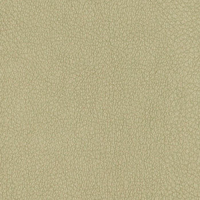 Persuasion Concrete by Nassimi Fabric See sample 100% Vinyl 250000 Horizontal: Not Applicable and Vertical: Not Applicable 54" - Fabric Carolina -