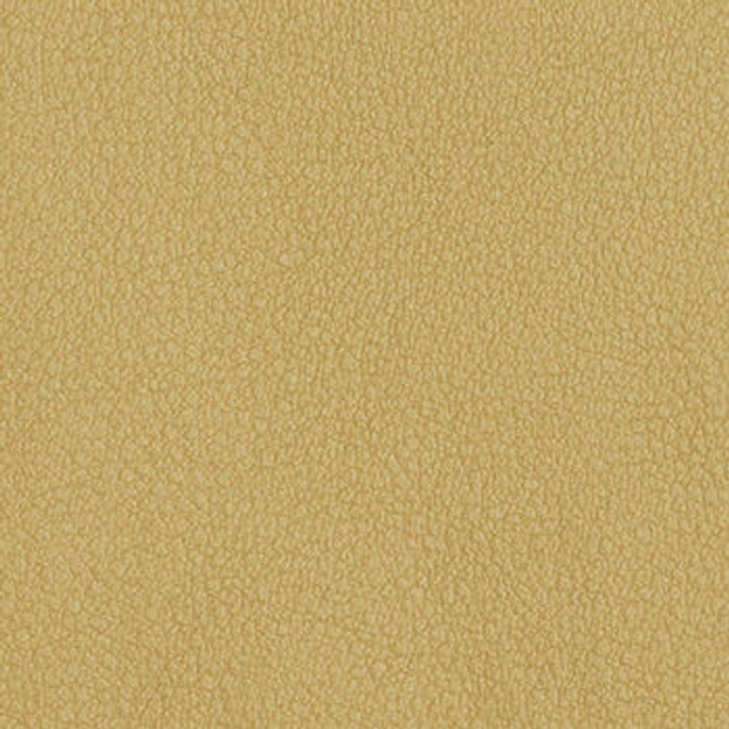 Persuasion Mink by Nassimi Fabric See sample 100% Vinyl 250000 Horizontal: Not Applicable and Vertical: Not Applicable 54" - Fabric Carolina -