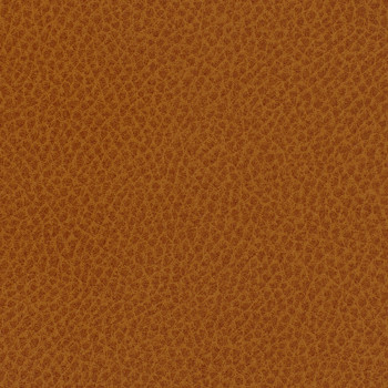 Steinbeck Curry by Nassimi Fabric See sample 95% Polyurethane (Polycarbonate)5% Silicone 300000 Horizontal: Not Applicable and Vertical: Not Applicable 54" - Fabric Carolina -