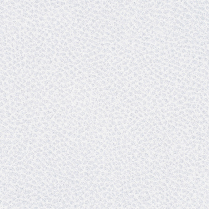 Steinbeck Iceberg by Nassimi Fabric See sample 95% Polyurethane (Polycarbonate)5% Silicone 300000 Horizontal: Not Applicable and Vertical: Not Applicable 54" - Fabric Carolina -