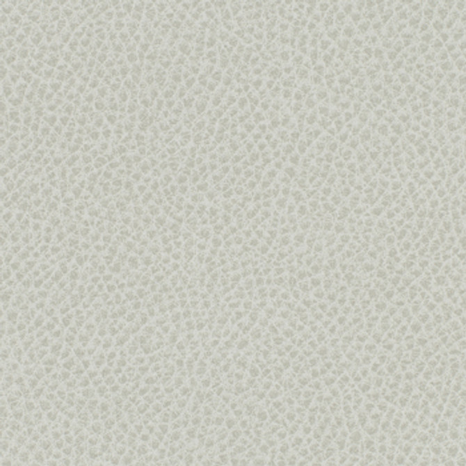 Steinbeck Nebulous by Nassimi Fabric See sample 95% Polyurethane (Polycarbonate)5% Silicone 300000 Horizontal: Not Applicable and Vertical: Not Applicable 54" - Fabric Carolina -