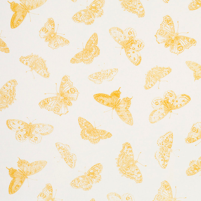 Burnell Butterfly Yellow 179431 by Schumacher Fabric MISTERIOSO COTTON 100% FRANCE </p><p>Repeat: Horizontal: 27" (69CM) and Vertical: 20 1/2" (52CM) 54 - Fabric Carolina -