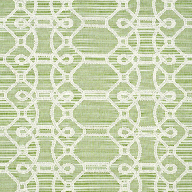 Ziz Embroidery Green 71933 by Schumacher Fabric HAPPY TOGETHER II COTTON 77% POLYESTER 23% INDIA MARTINDALE 25,000 </p><p>Repeat: Horizontal: 17 1/2" (44CM) and Vertical: 6 1/4" (16CM) 53.25 - Fabric Carolina -