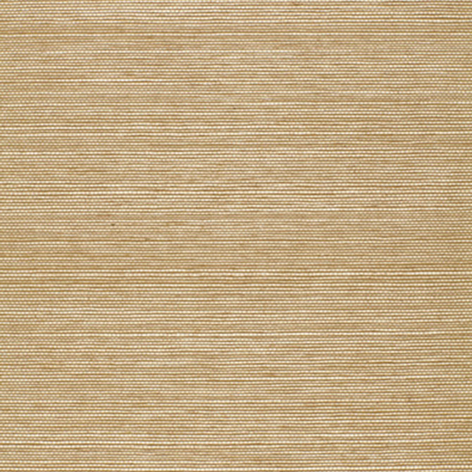 Ayame Sisal Sage 5002905 by Schumacher Wallcovering