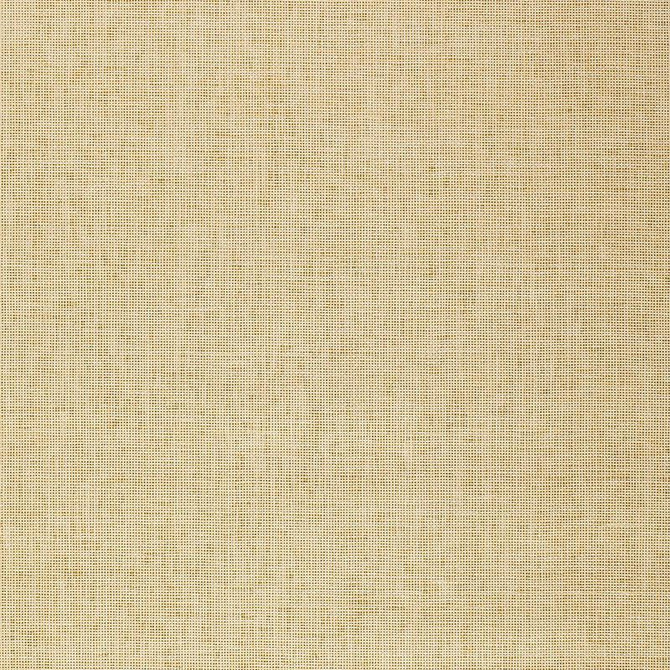 Mitsu Weave Gold 5003050 by Schumacher Wallpaper Quiet Beauty - Fabric Carolina -