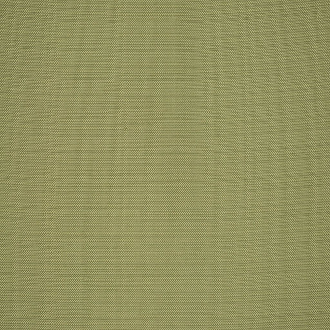 Change Kiwi by RM CoCo Fabric Metamorphosis 100% Polyester See Sample 0 Horizontal: 0 and Vertical: 0 54 - Fabric Carolina -