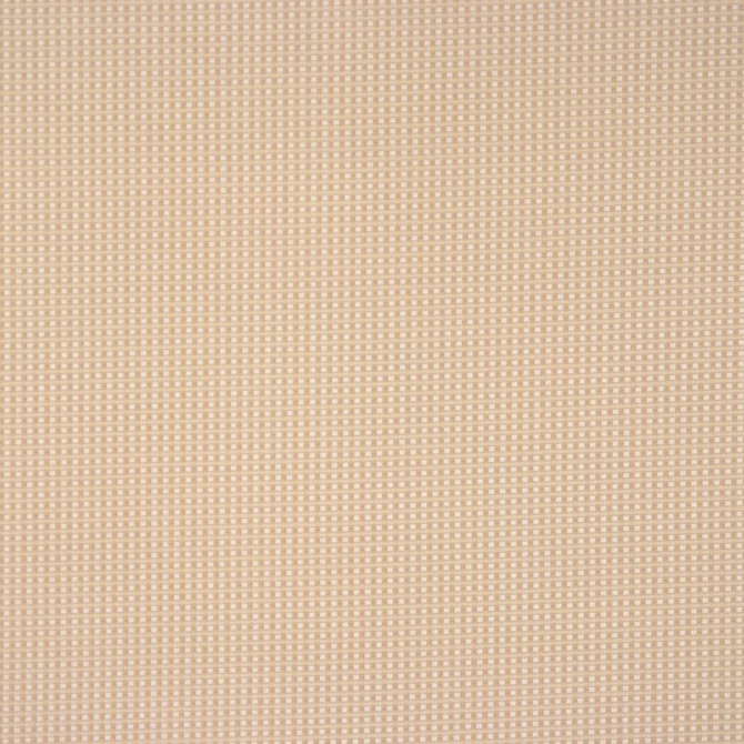Beatrice Taupe by RM CoCo Fabric London Calling 100% Polyester See Sample 0 Horizontal: 0.25 and Vertical: 0.25 54 - Fabric Carolina -