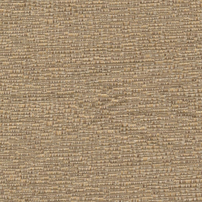 That'S That Taupe by RM CoCo Fabric Color Rainbow - Wind - Wesco 70% Rayon 30% Polyester See Sample 0 Horizontal: 0 and Vertical: 0 55 - Fabric Carolina -
