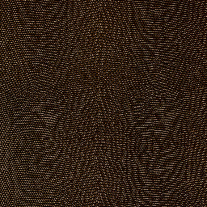 Iguana Black Gold by RM CoCo Fabric Vinyl Varieties 55% PVC 40% Polyester 5% PU See Sample 0 Horizontal: 0 and Vertical: 0 54 - Fabric Carolina -