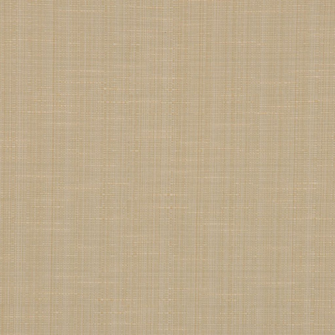 Oakley Muslin by RM CoCo Fabric Time Keeper 51% Cotton 49% Polyester See Sample 0 Horizontal: 0 and Vertical: 2 55 - Fabric Carolina -